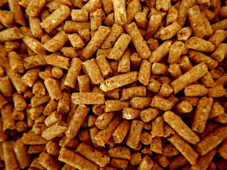 Biomasa drzewna i pellet drzewny – przyszłość ekologicznych źródeł energii