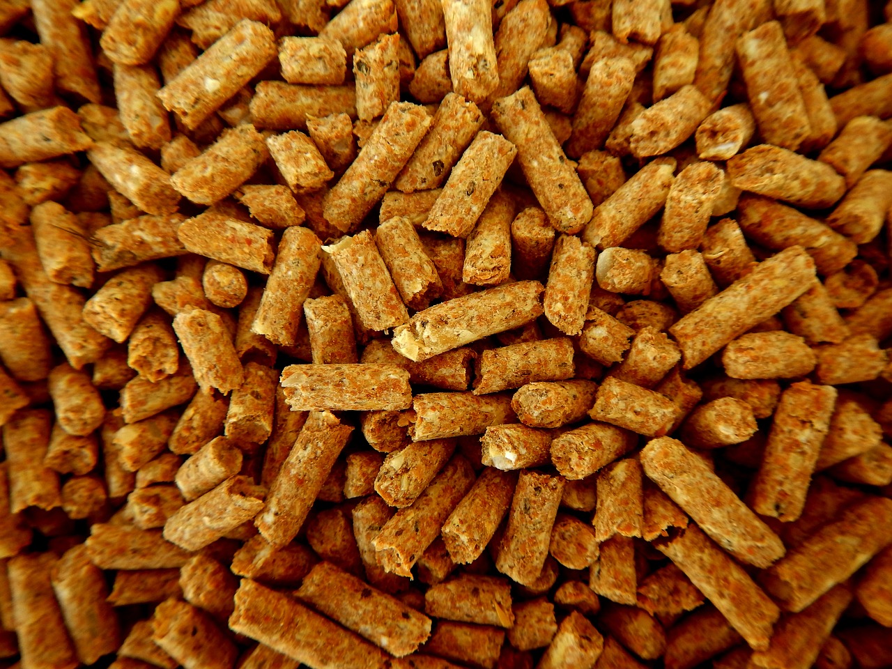 Biomasa drzewna i pellet drzewny – przyszłość ekologicznych źródeł energii